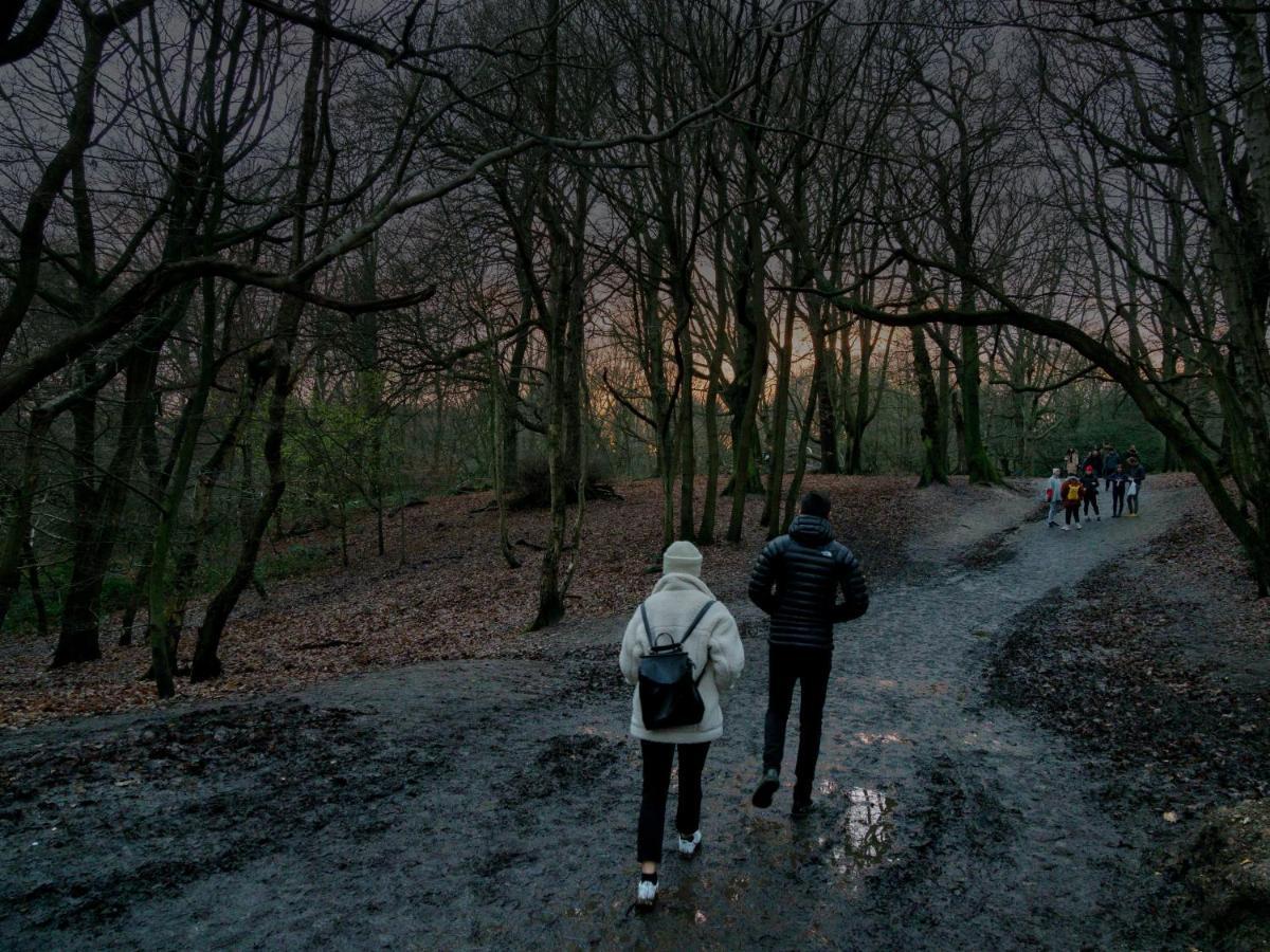 Bright West Hampstead Retreat Lejlighed London Eksteriør billede