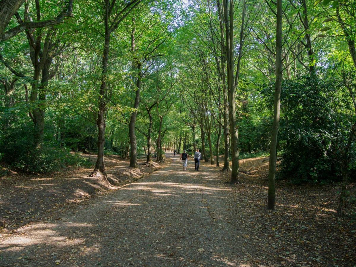 Bright West Hampstead Retreat Lejlighed London Eksteriør billede